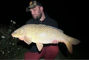 Common Carp