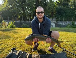 Barbel