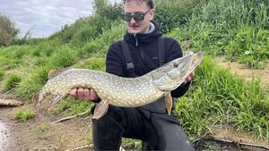Northern Pike