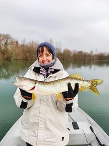 Chain Pickerel