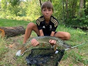 Northern Pike