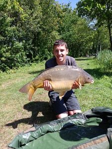 Mirror Carp