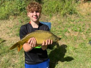 Mirror Carp