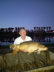 Mirror Carp