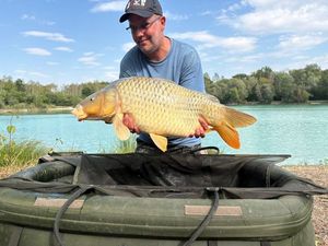 Common Carp