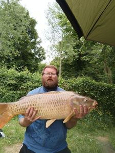 Common Carp