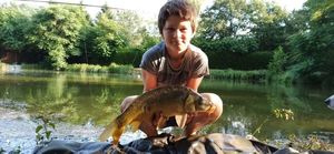 Mirror Carp