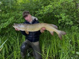 Northern Pike