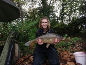 Common Carp