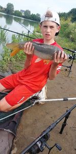 Mirror Carp