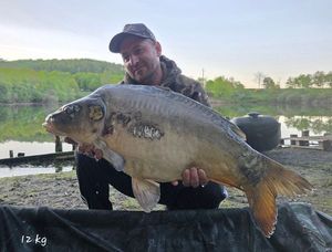 Mirror Carp