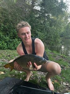 Common Carp