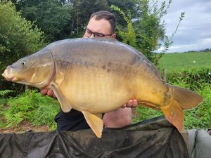 Mirror Carp