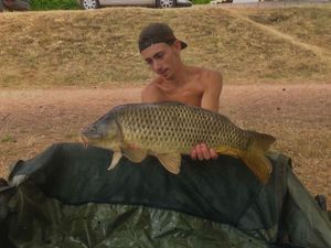 Common Carp