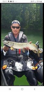 Northern Pike