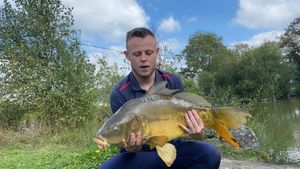 Mirror Carp