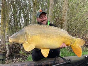 Mirror Carp