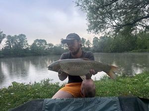 Grass Carp