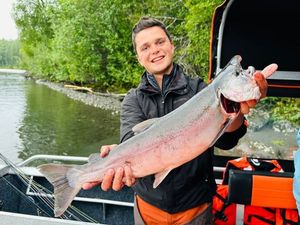 Coho Salmon