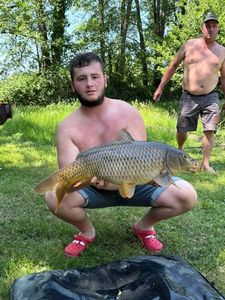 Common Carp