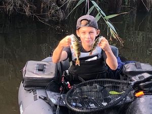 European Perch
