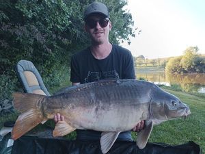 Mirror Carp