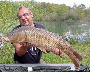 Common Carp