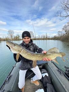 Northern Pike