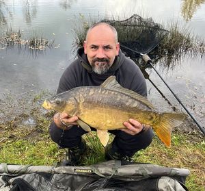 Mirror Carp