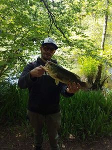 Largemouth Bass