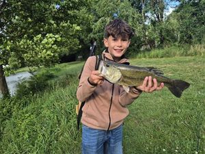 Smallmouth Bass