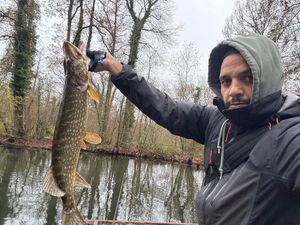 Northern Pike