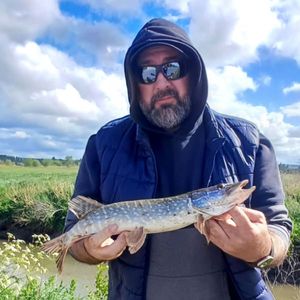 Northern Pike