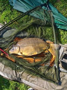 Leather Carp