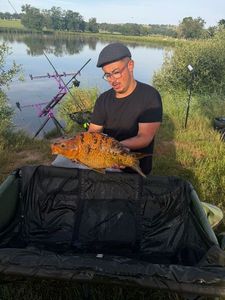 Koï Fish