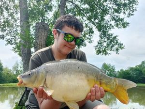 Mirror Carp