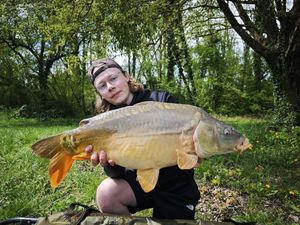Mirror Carp