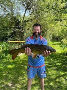 Common Carp