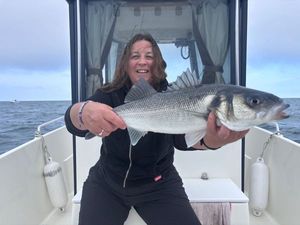 European Bass (Seabass)