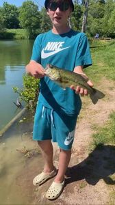 Largemouth Bass
