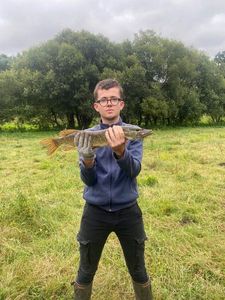 Northern Pike