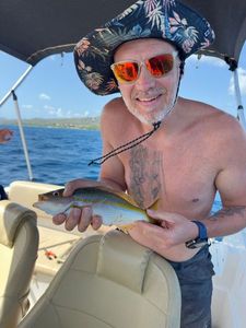 Mediterranean Rainbow Wrasse