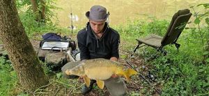 Mirror Carp