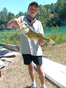 Largemouth Bass