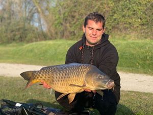 Common Carp caught by auberge du lac
