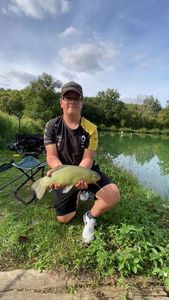 Tench