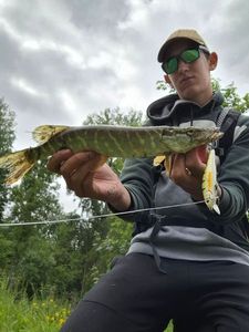Northern Pike