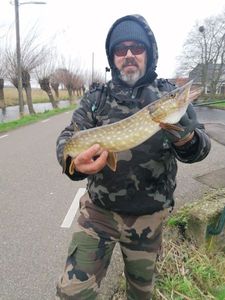 Northern Pike