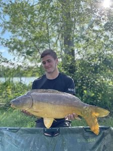 Mirror Carp