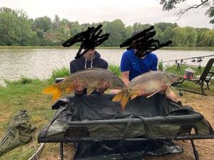 Mirror Carp
